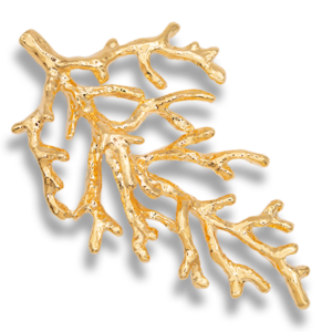 MEDALHA CORAL